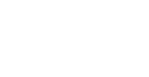 Swami Industries