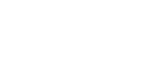 Bizzy Bites